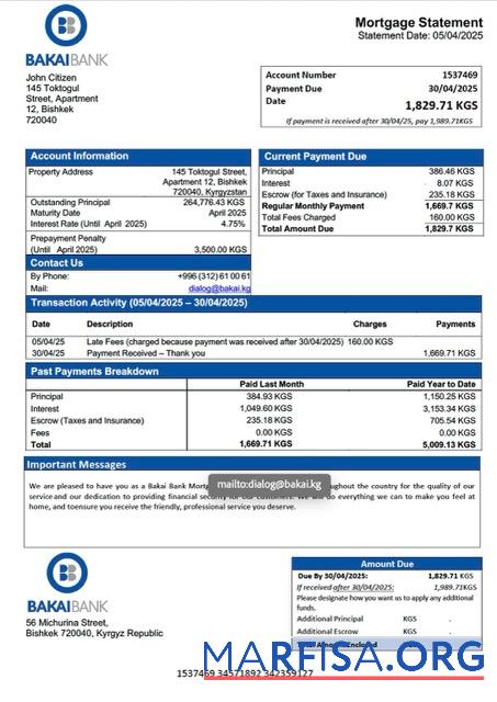 Blank Kyrgyzstan Bakai Bank mortgage statement Word and PDF template
